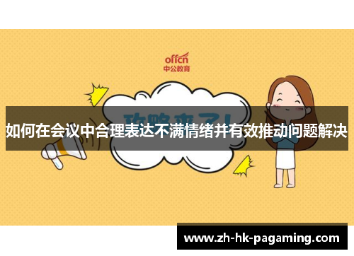 如何在会议中合理表达不满情绪并有效推动问题解决