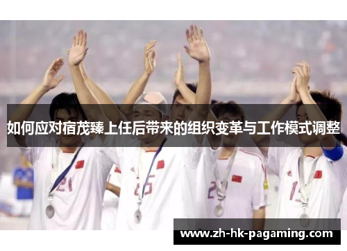 如何应对宿茂臻上任后带来的组织变革与工作模式调整