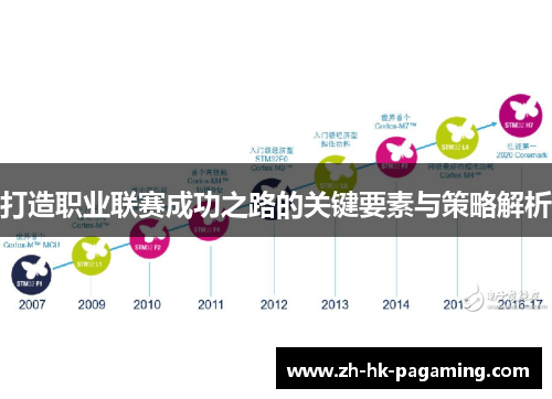 打造职业联赛成功之路的关键要素与策略解析 打造职业联赛成功之路的关键要素与策略解析