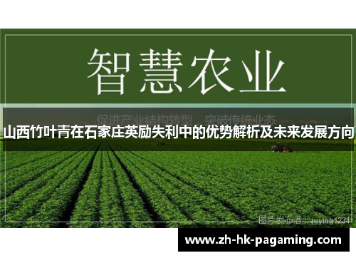 山西竹叶青在石家庄英励失利中的优势解析及未来发展方向 山西竹叶青在石家庄英励失利中的优势解析及未来发展方向