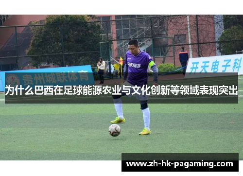 为什么巴西在足球能源农业与文化创新等领域表现突出 为什么巴西在足球能源农业与文化创新等领域表现突出