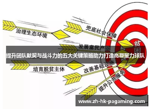 提升团队默契与战斗力的五大关键策略助力打造高凝聚力球队 提升团队默契与战斗力的五大关键策略助力打造高凝聚力球队