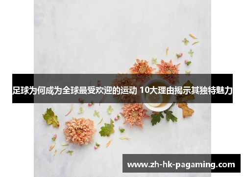 足球为何成为全球最受欢迎的运动 10大理由揭示其独特魅力 足球为何成为全球最受欢迎的运动 10大理由揭示其独特魅力