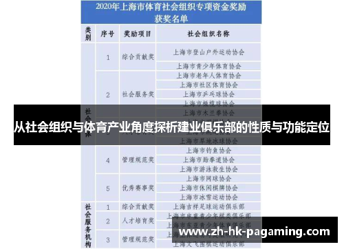 从社会组织与体育产业角度探析建业俱乐部的性质与功能定位