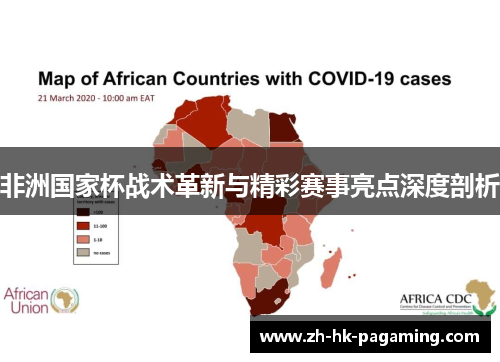 非洲国家杯战术革新与精彩赛事亮点深度剖析